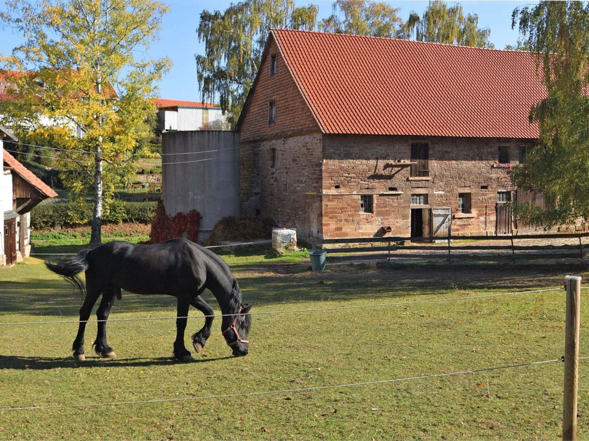 Spacious Holiday Home In Hesse With Garden Waldeck  Esterno foto